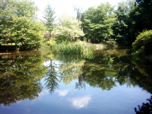 Arboretum Wojsławice