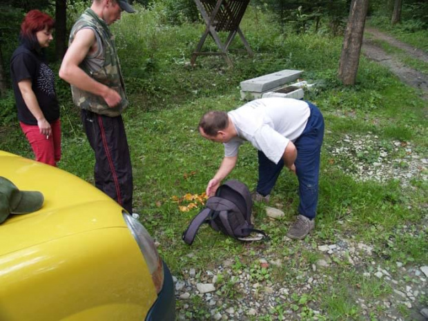 grzybobranie na Budach