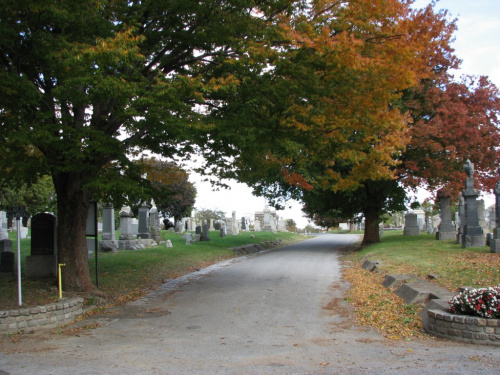 Spacerek po cmentarzu
