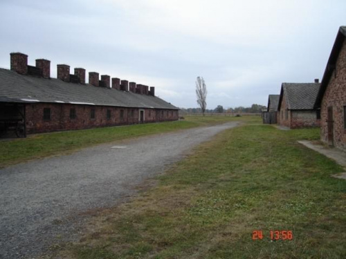 #Auschwitz #wycieczka #szkolne