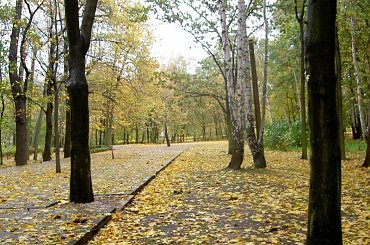 Westerplatte-pięknie chociaż mokro #Westerplatte #jesień #NadMorzem #park