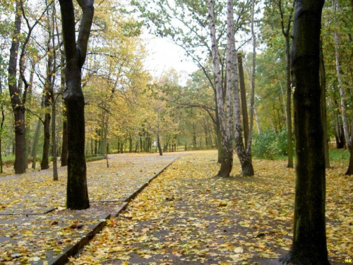 Westerplatte-pięknie chociaż mokro #Westerplatte #jesień #NadMorzem #park