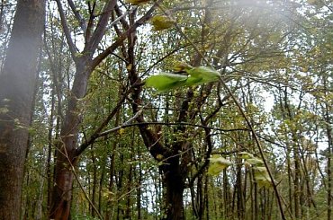Westerplatte-zacinajacy deszcz ograniczał możliwosci fotograficzne #NadMorzem #sztorm #jesień #Westerplatte