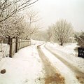 Zdjęcia zrobione w południe przy szesnastostopniowym mrozie. #Uszyce #śnieg #zima