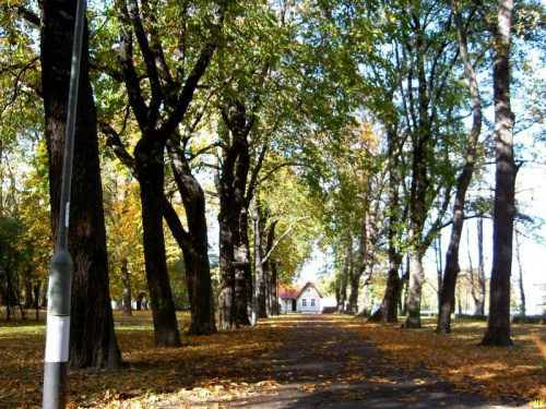 Gdańsk-park miejski #park #jesień #widok #drzewa #przyroda