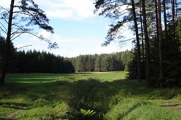 www.breyt.fora.pl #Breyt #Mazury #Pisz #Ruciane #Remes