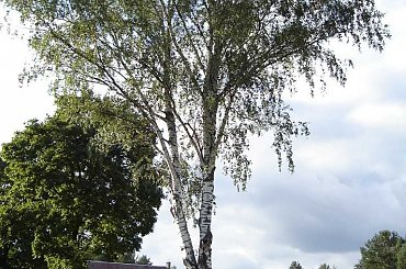 www.breyt.fora.pl #Breyt #Mazury #Pisz #Ruciane #Remes