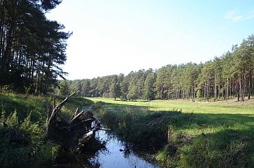 www.breyt.fora.pl #Breyt #Mazury #Pisz #Ruciane #Remes