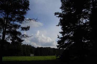 www.breyt.fora.pl #Breyt #Mazury #Pisz #Ruciane #Remes