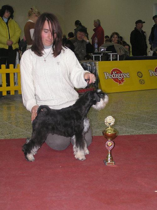 CLub Schnauzer NItra 06