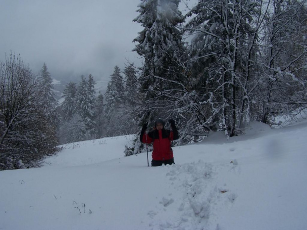 PIENINY- SROMOWCE NIżNE 2006