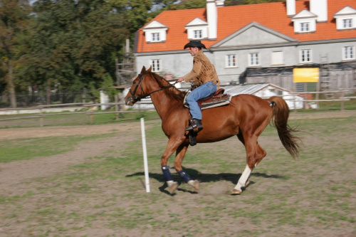 Rocznica Monar Wyszków pokaz jazdy końskiej
www.wyszkow.monar.org