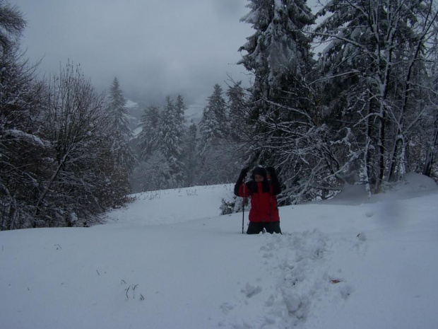 PIENINY- SROMOWCE NIżNE 2006