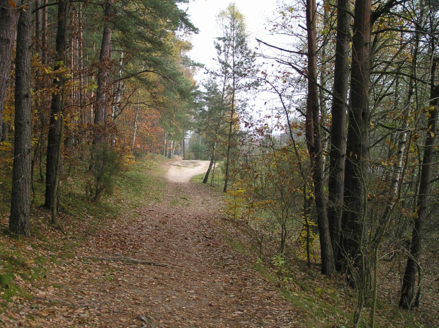 Szlak czerwony nad j. Dąbrowskim