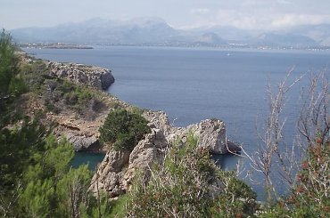 #Majorka #Alcudia #krajobraz