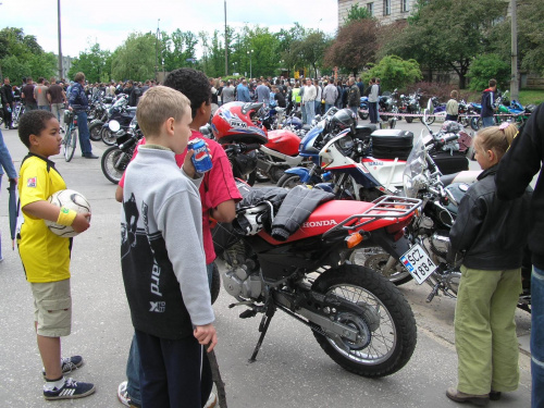 Gumboły i motory