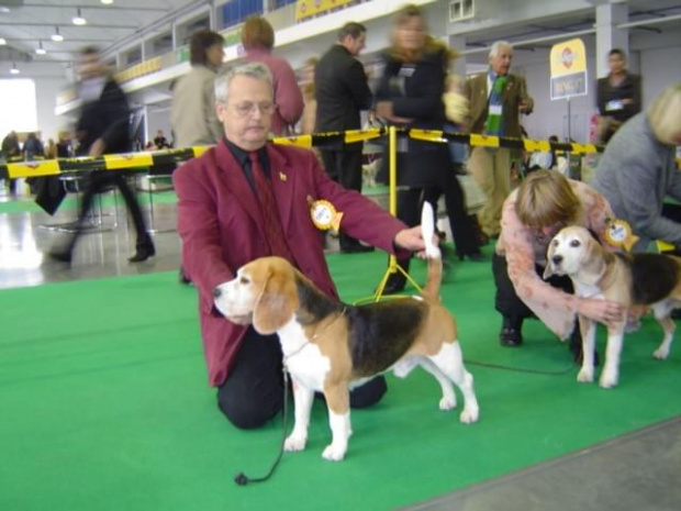 Wszystkie zdjęcia są chronione prawami autorskimi. Zaaz kopiowania w jakiej kolwiek postaci. Kontakt do autora dogzone@interia.pl www.DogZone.pl