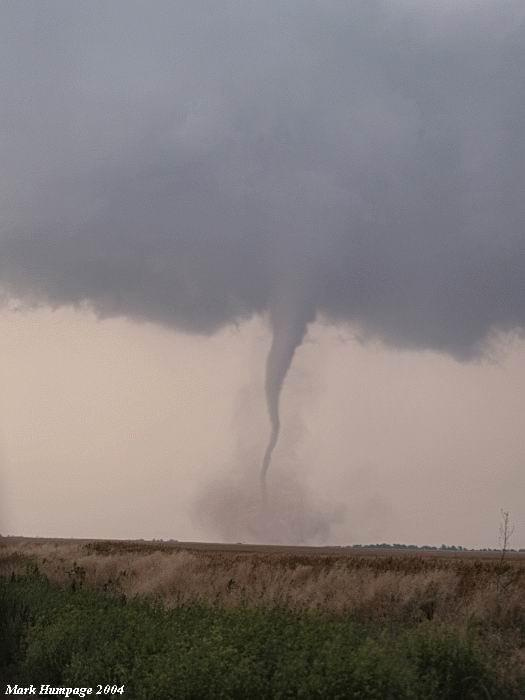 Tornado