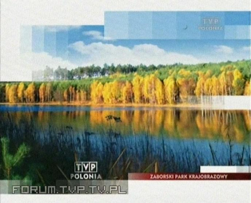 Telewizja Polonia - TVP Polonia. www.forum.tvp.tv.pl