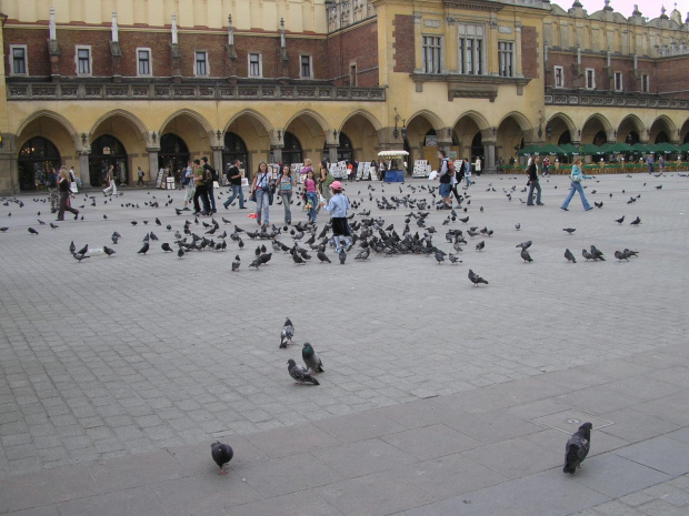 Kraków-maj 2006