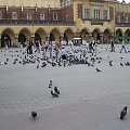 Kraków-maj 2006