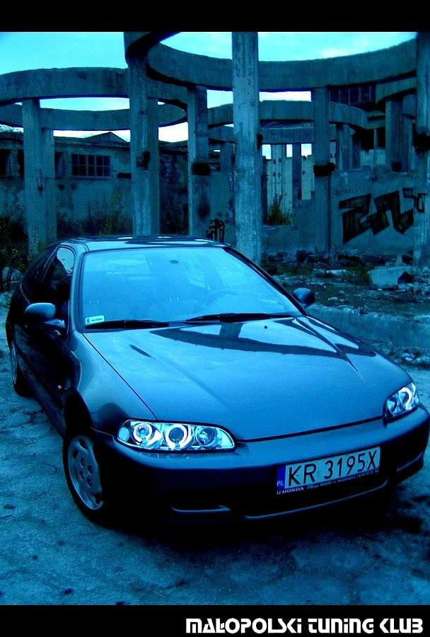 [URL=www.fotosik.pl][IMG]http://images3.fotosik.pl/247/f05babb6f18f2ad7.jpg[/IMG][/URL]
[URL=www.fotosik.pl][IMG]http://images2.fotosik.pl/247/883dd82e2e2b96c4.jpg[/IMG][/URL]
[URL=www.fotosik.pl][IMG]http://images2.fotosik.pl/247/1f65783b2694a227.jpg[...
