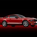 Ford Shelby GT500 (2007) #Ford #Shelby #GT500 #auto #samochod #samochód