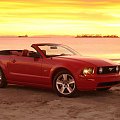 Ford Mustang GT Convertible (2007) #Ford #Mustang #Convertible #auto #samochod #samochód