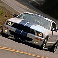 Ford Shelby GT500 (2007) #Ford #Shelby #GT500 #auto #samochod #samochód