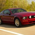 Ford Mustang GT (2007) #Ford #Mustang #auto #samochod #samochód