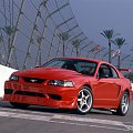 Ford SVT Mustang Cobra R #Ford #Mustang #Cobra #auto #samochod #samochód