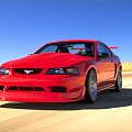 Ford SVT Mustang Cobra R #Ford #Mustang #Cobra #auto #samochod #samochód