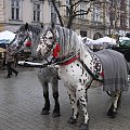 Kraków
