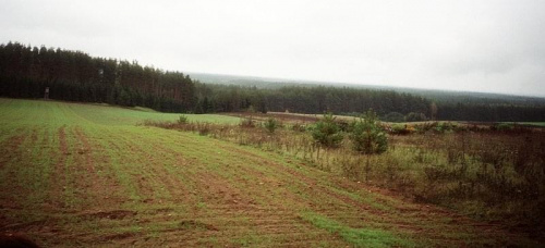 mazurskie pola