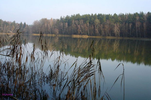 Jezioro Niecponek #Wycieczka #PuszczaPiska #Pisz #Rower #Remes #Mazury