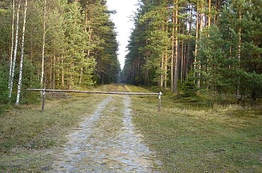 Puszcza Piska #Wycieczka #PuszczaPiska #Pisz #Rower #Remes #Mazury