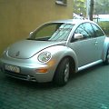 New Beetle