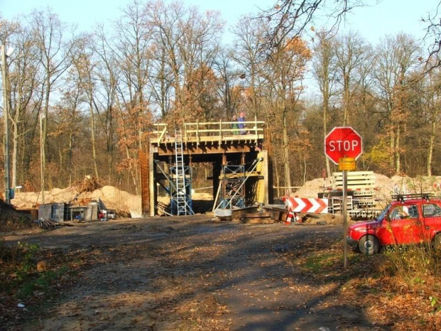 Puławy ul. Długa - budowa obwodnicy #las #droga #obwodnica #budowa #Długa #Puławy