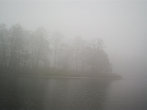 Wyspa na Stawie Stefańskiego ( we mgle...) #Łódź #StawyStefańskiego #mgła