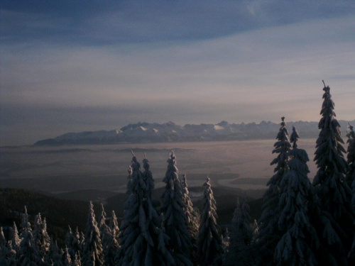 Turbacz zima.W dole Zakopane