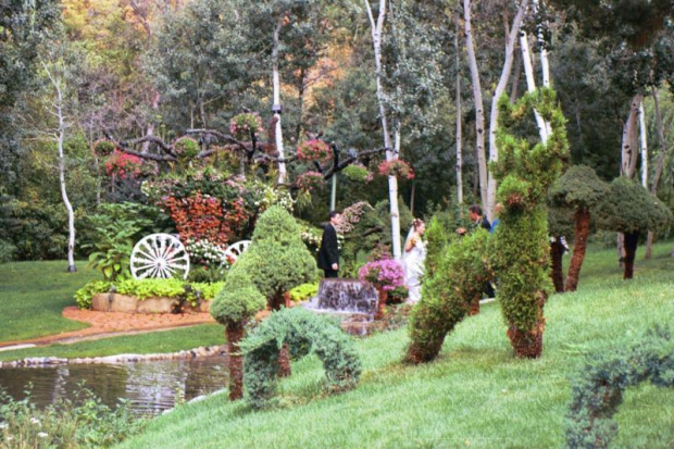 FLOWER BED IN THE CARRIAGE AND VIVID SCULPTURES