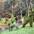 FLOWER BED IN THE CARRIAGE AND VIVID SCULPTURES