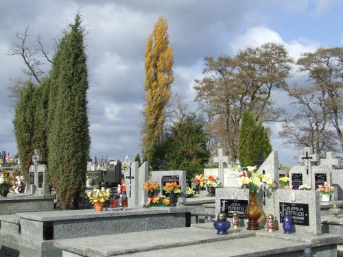 Jesień na cmentarzach. #nekropoplie