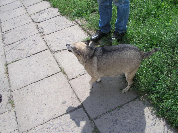 SOBOTNIE POPOŁUDNIE