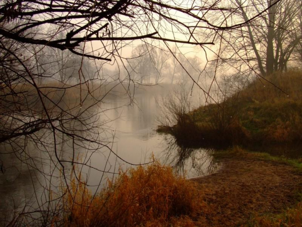 kolejny spacerek nad piekną Wartą #spacer #rzeka #wschód #widoki #mgła