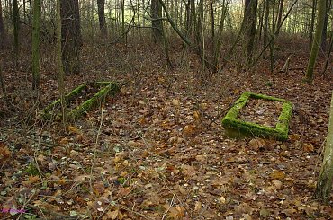 Cmentarz w Guskach #CmentarzWGuskach #Mazury #Guski