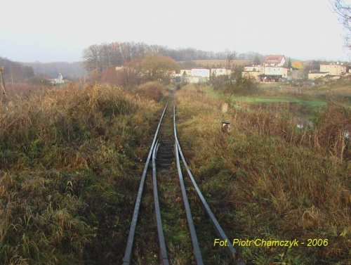 Widok w stronę szlaku do Kocika Młyn (Pobórka, Wysoka). Jedynego z resztą wychodzącego z Białośliwia. #kolej #kolejka #wąskotorowa #Białośliwie #PKP