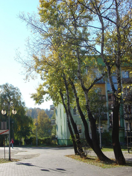 jesienny spacer nad Brdą #DomyNadRzekąBrdą