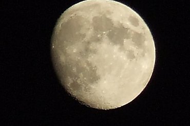 w nowym obiektywie na razie książe nocy ...
we wtorek zapoluję na Króla w pełni #księżyc #zjawisko