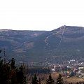 Szrenica